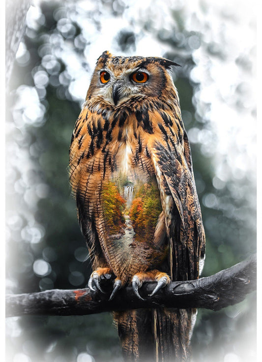 Autumn Call of the Wild Owl Panel by Hoffman