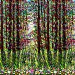 Into the Meadow - 44 Forest