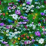 Into the Meadow - 170 Meadow